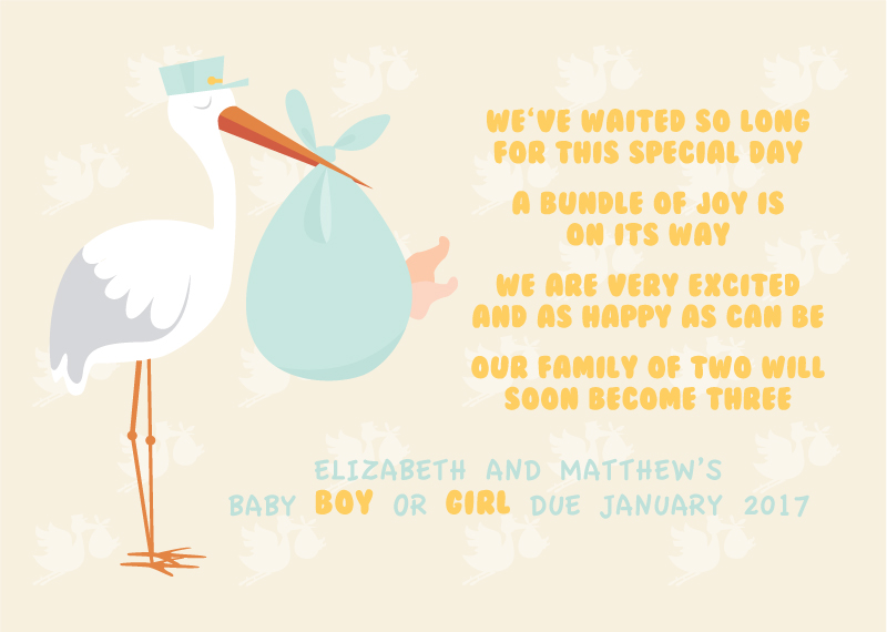 Bundle of Joy - Pregnancy Announcements