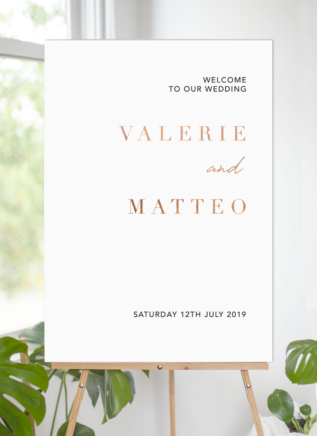 Modern Simplicity - Wedding Signs