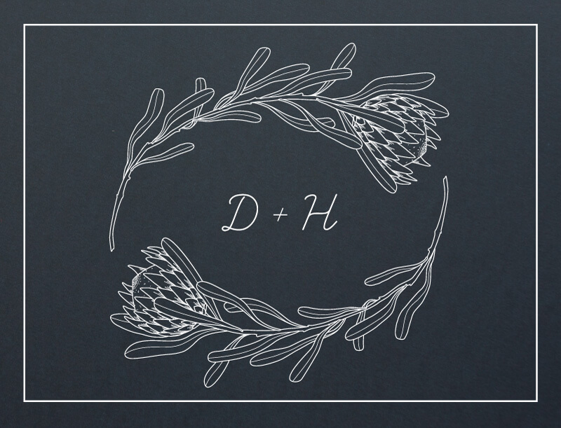 Playful Proteas Postcard  - Save The Date
