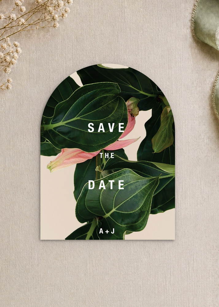 Medinilla - Save The Date