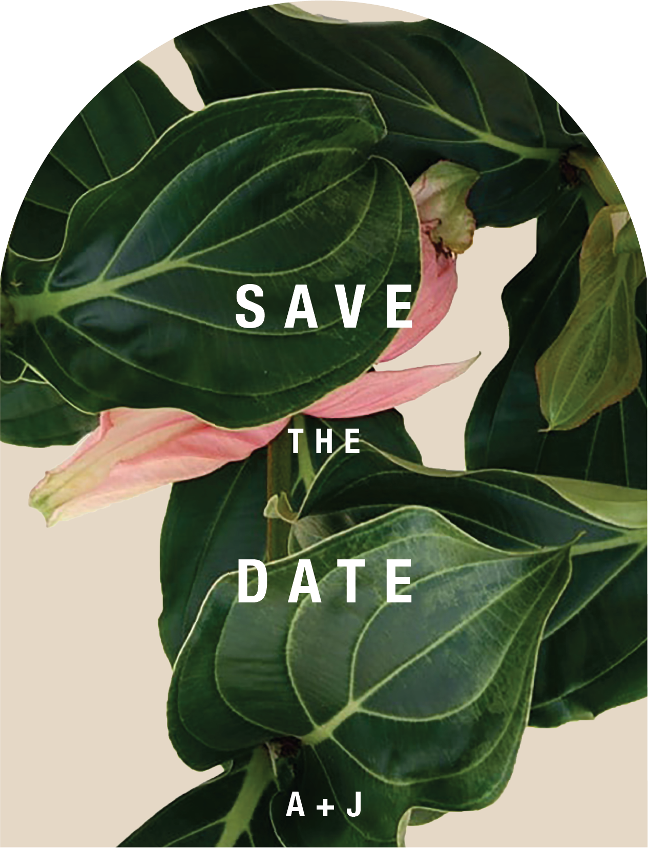 Medinilla - Save The Date