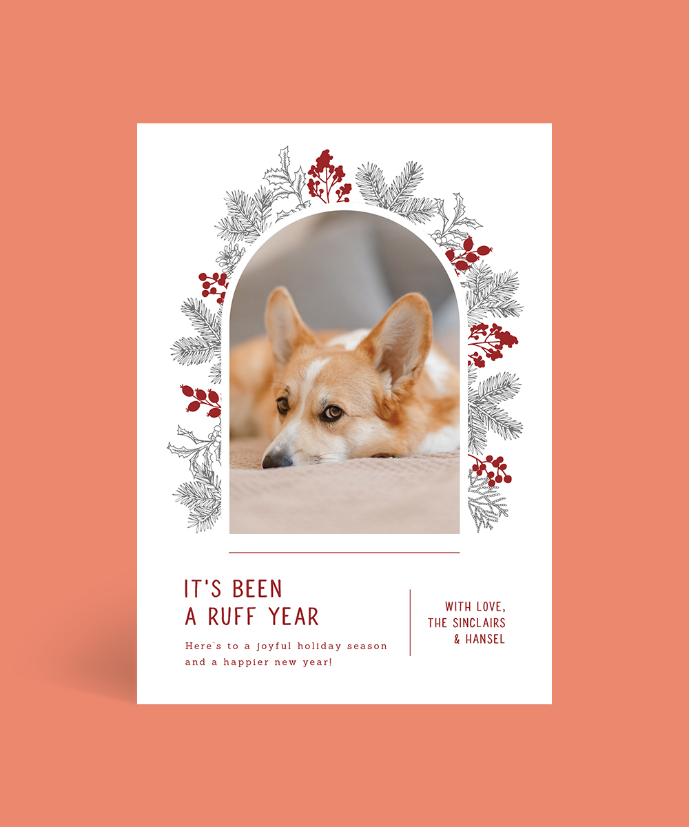 Feliz Navidog - Christmas Cards
