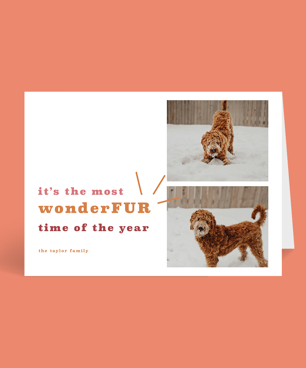 Wonderfur Time - Christmas Cards