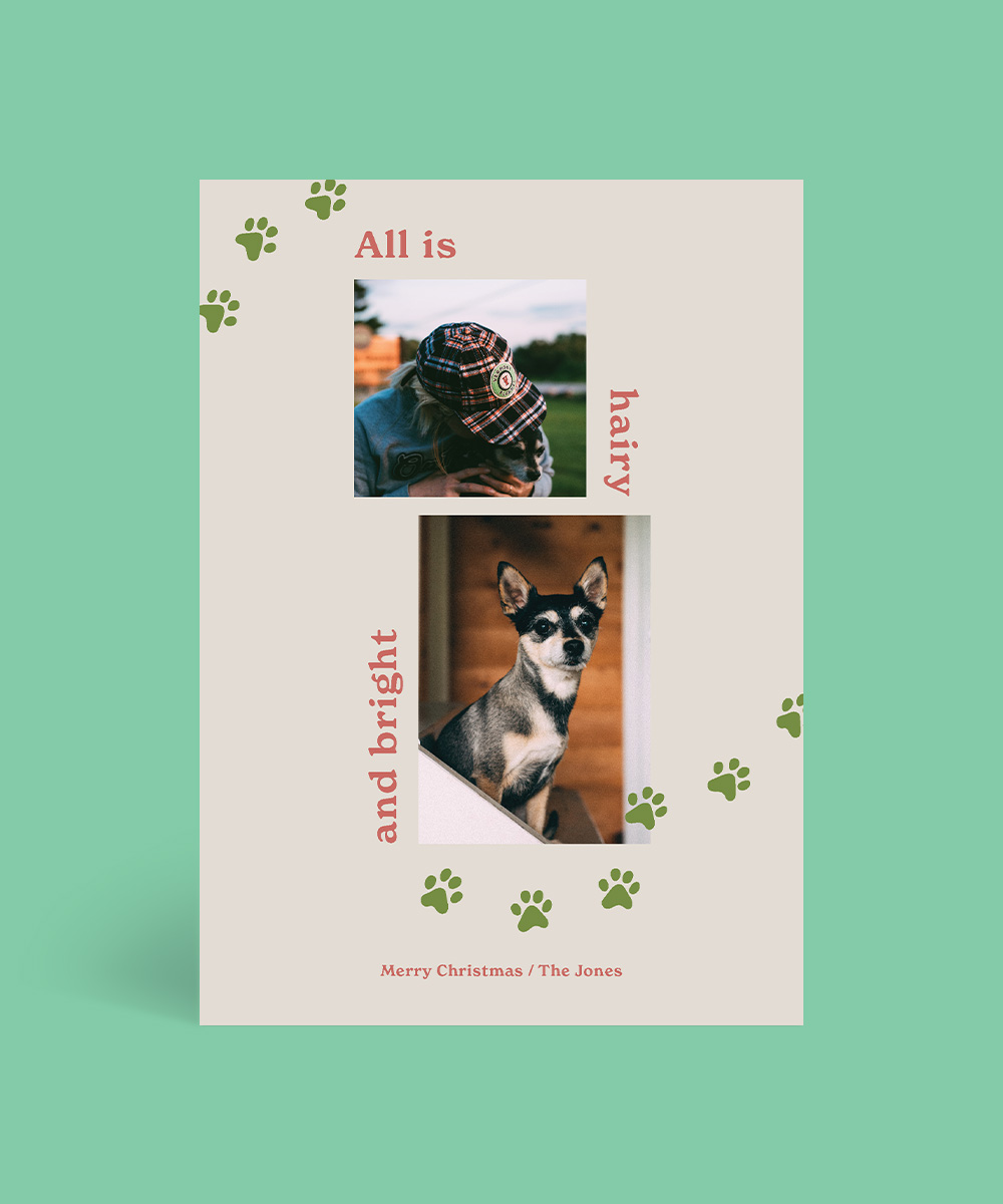 Hairy and Bright - Christmas Cards