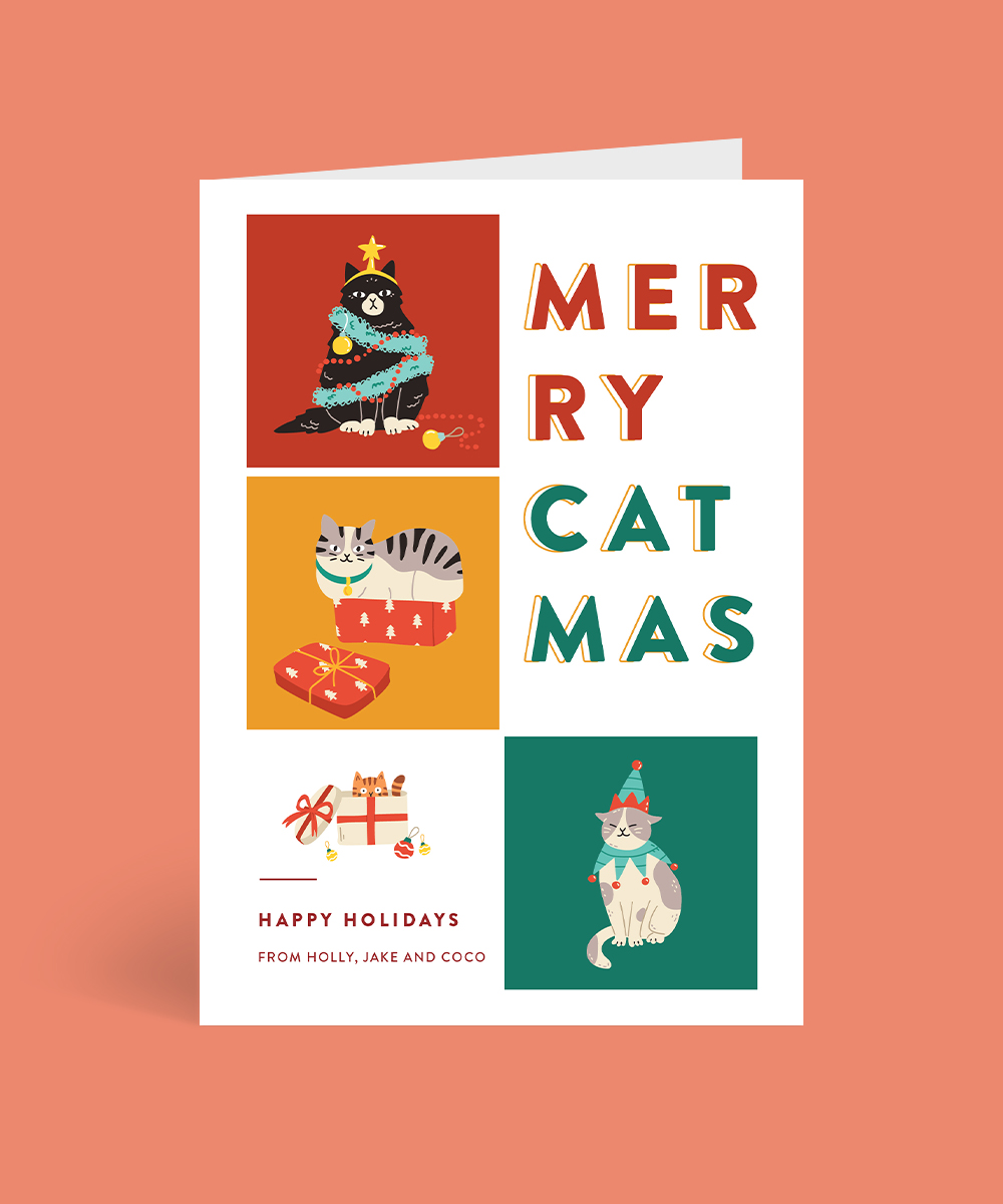 Santa Paws - Christmas Cards