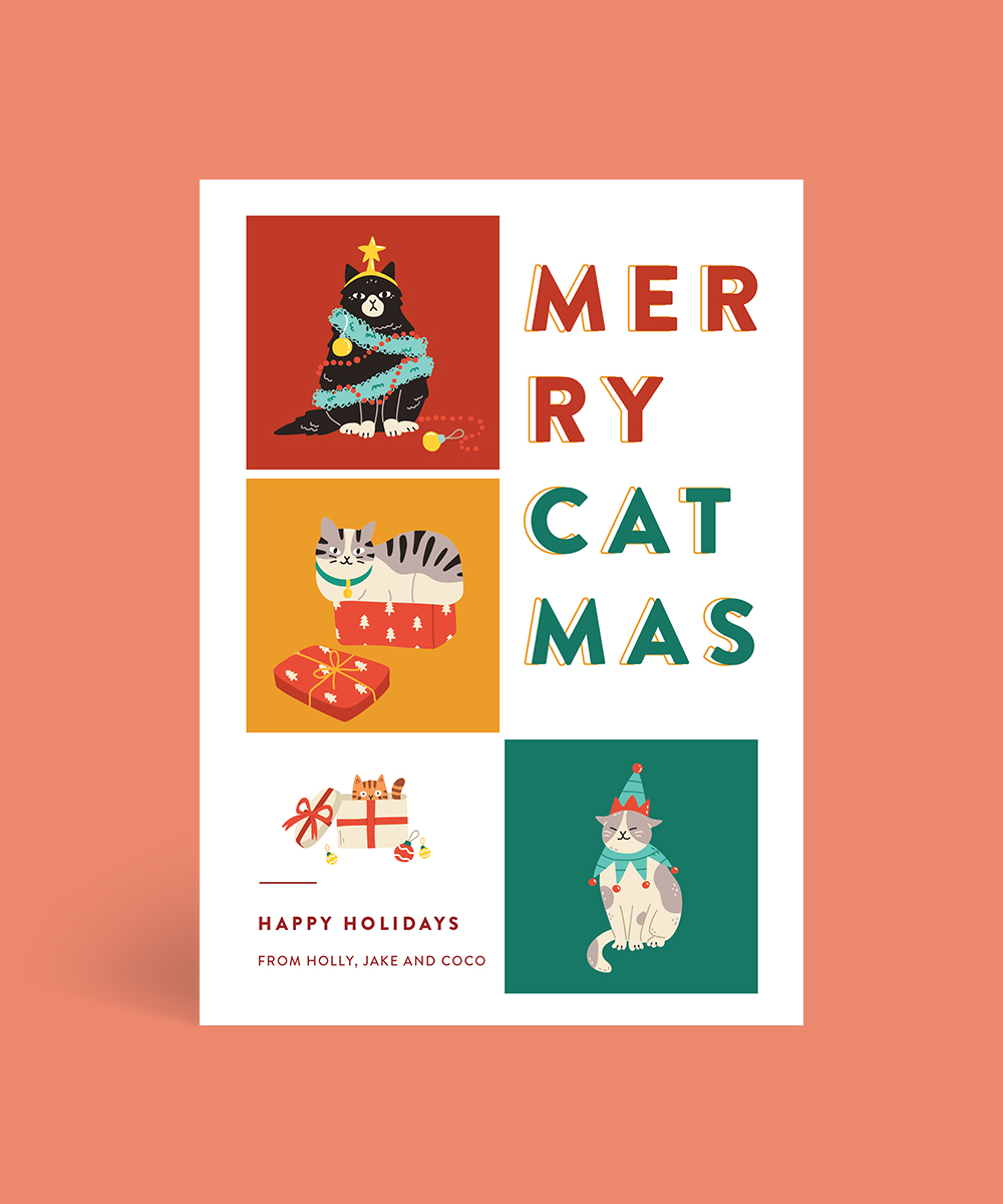 Santa Paws - Christmas Cards
