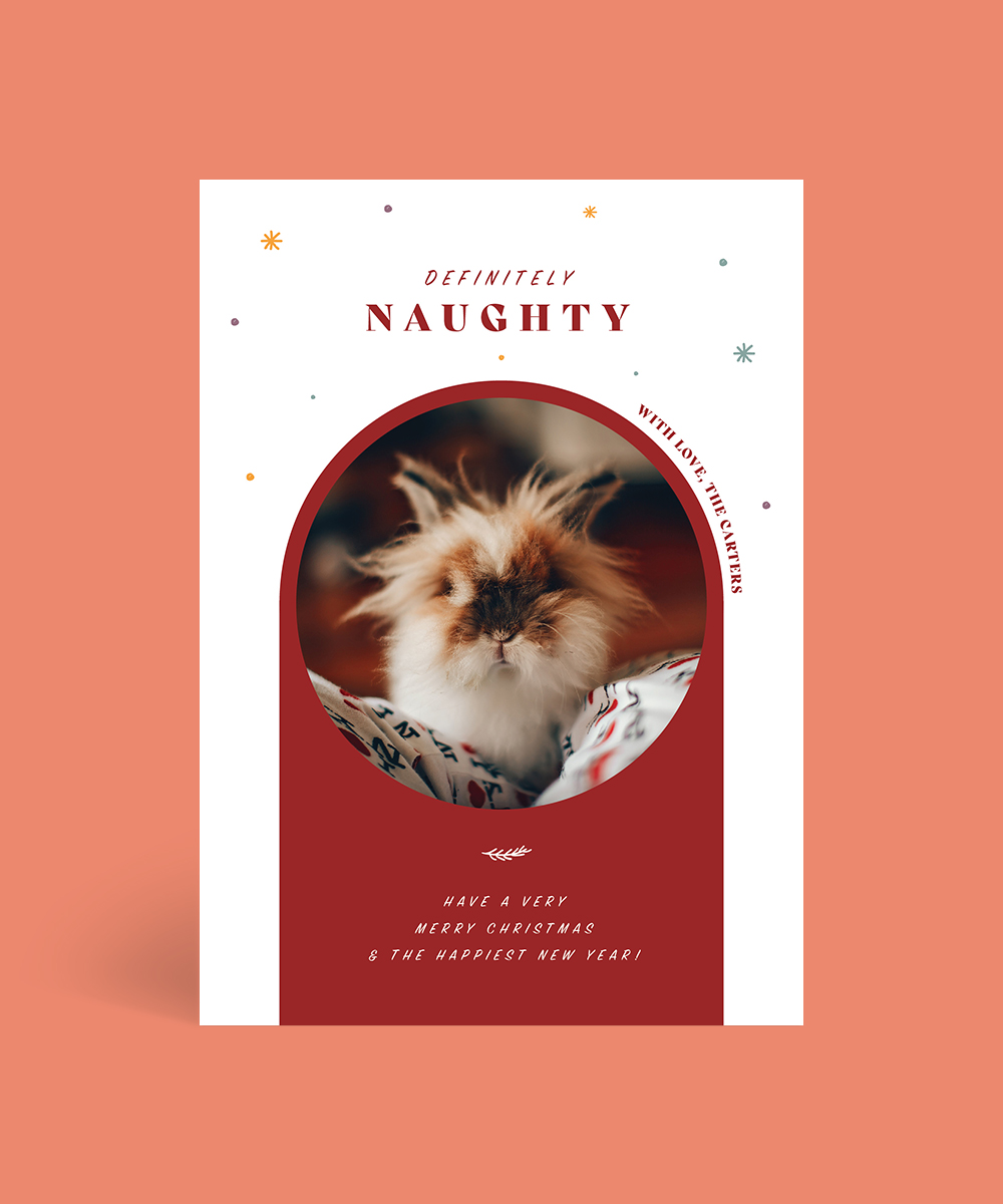 Fluffy Pet - Christmas Cards
