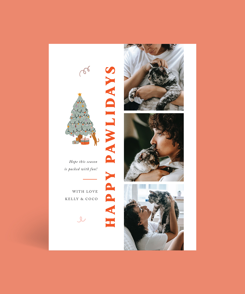 Pawsome Christmas - Christmas Cards