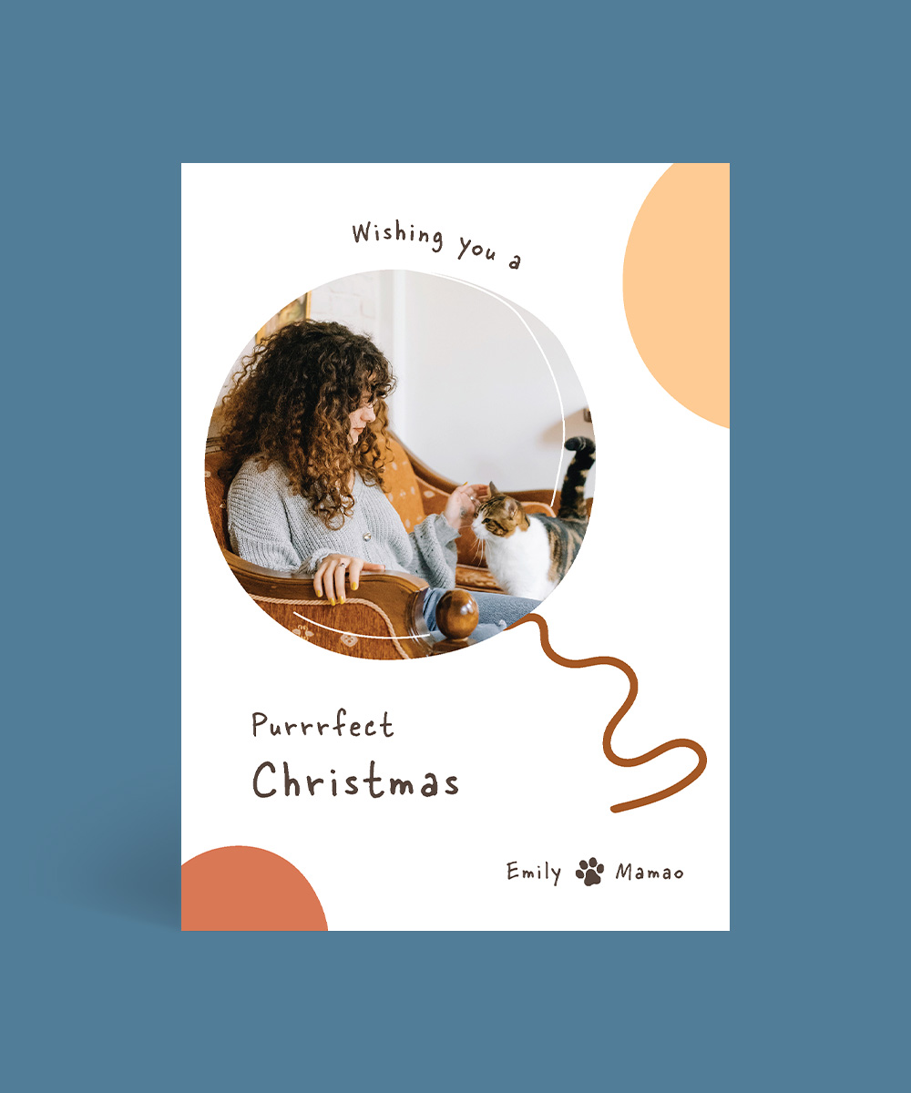 Cat & Wool - Christmas Cards