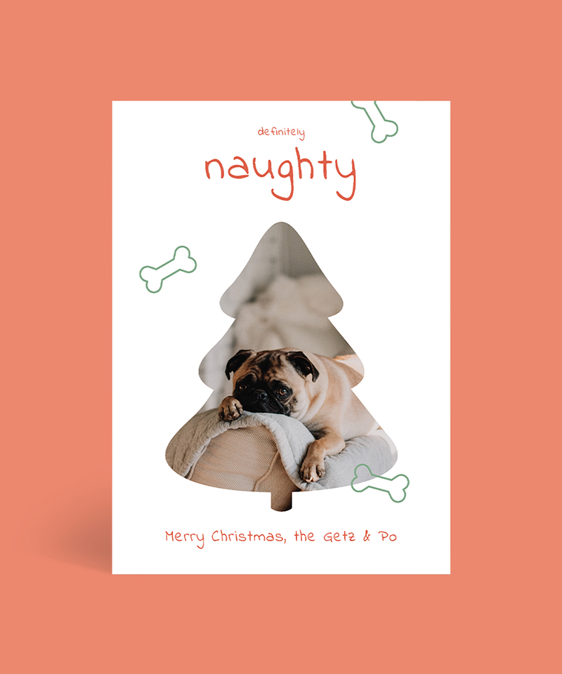 Definitely Naughty Christmas Cards - Digital Printing design preview