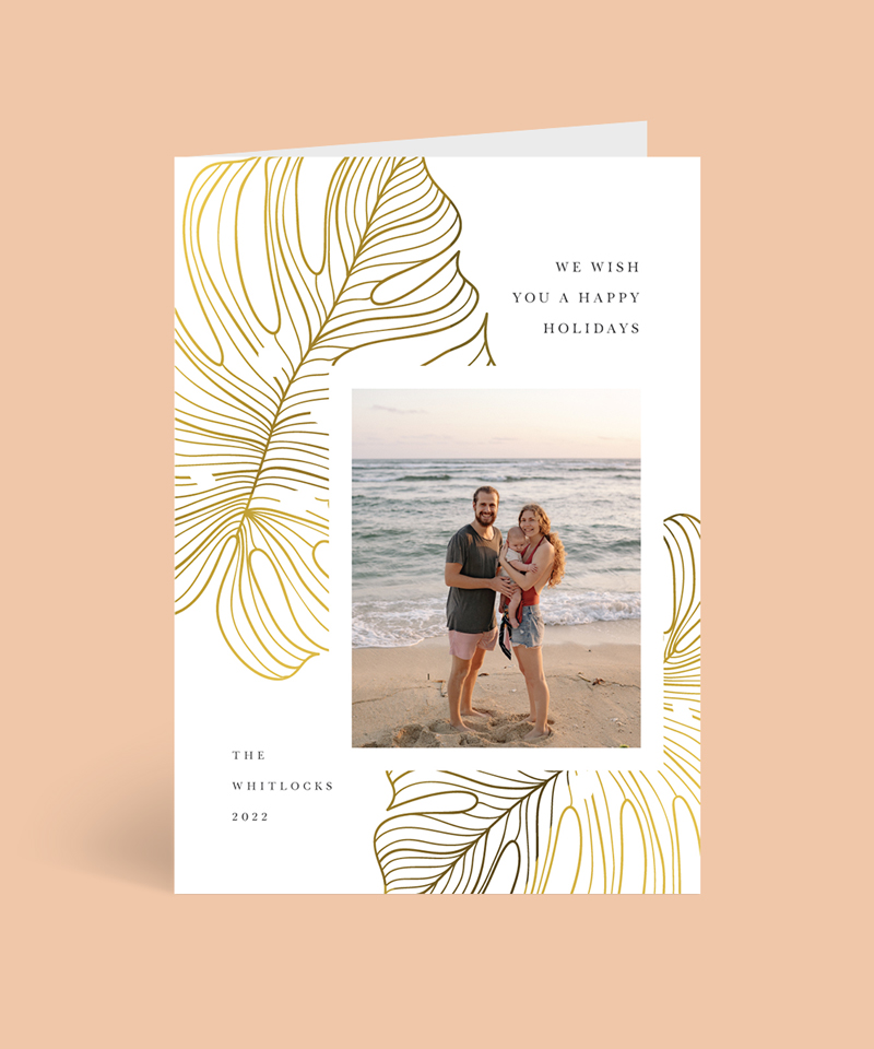 Exotic Fresh - Christmas Cards