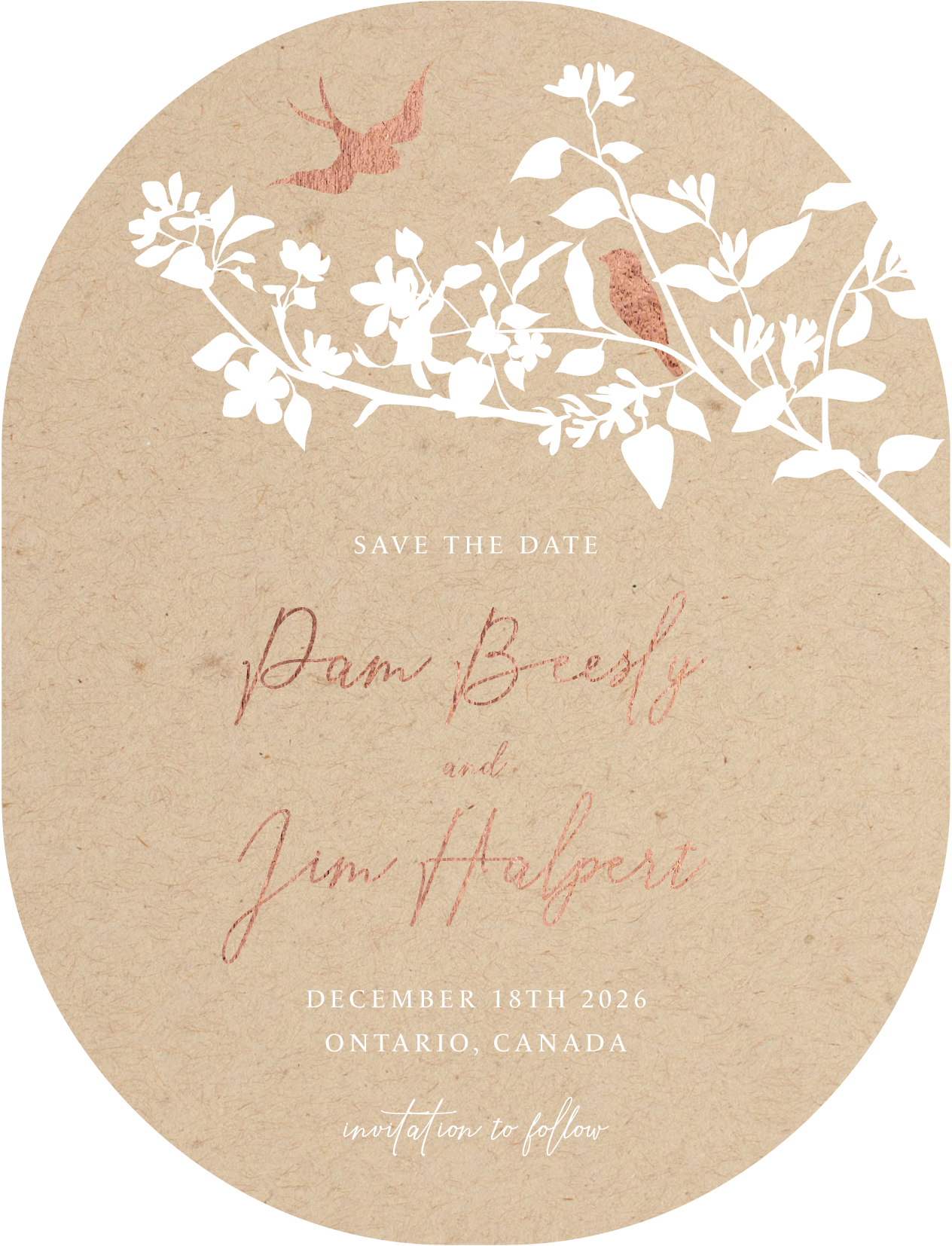 Fly With Me Save The Date - Colour Stock + Foil design preview