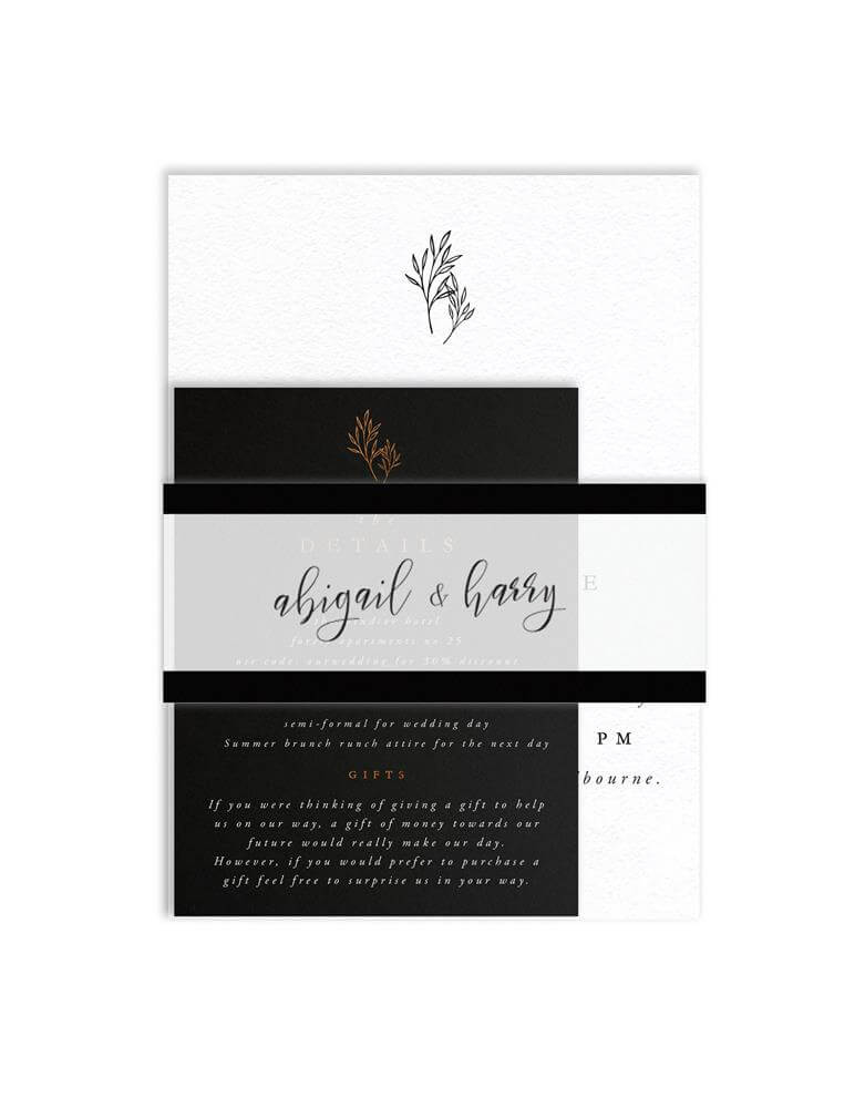Sleek Border Belly Bands - Digital Printing design preview