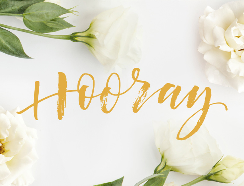 White Floral - Greeting Cards