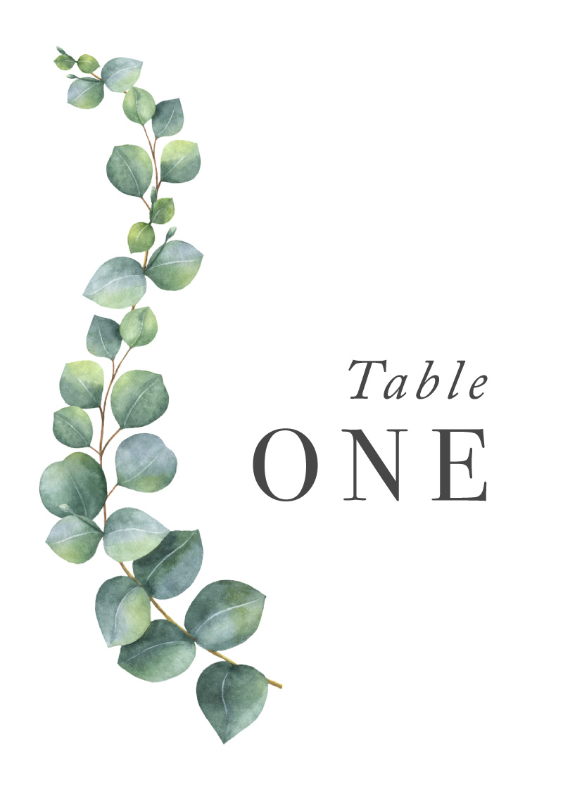 Eucalyptus - Table Numbers