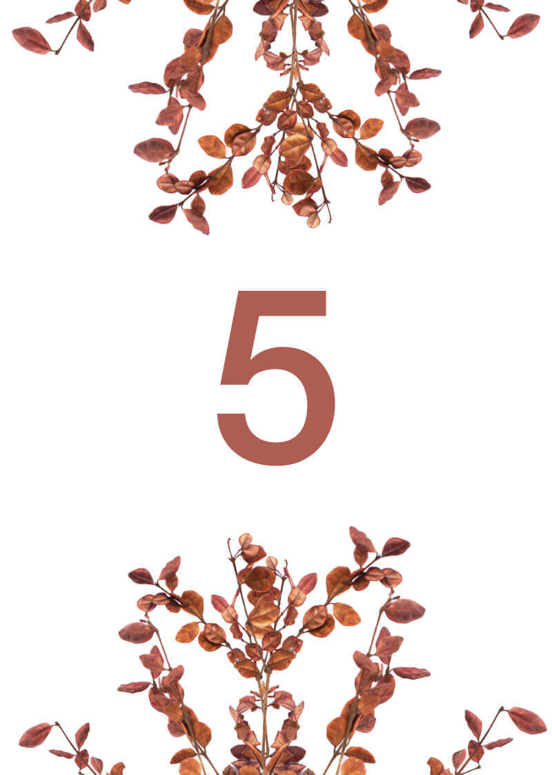 Fall leaves - Table Numbers