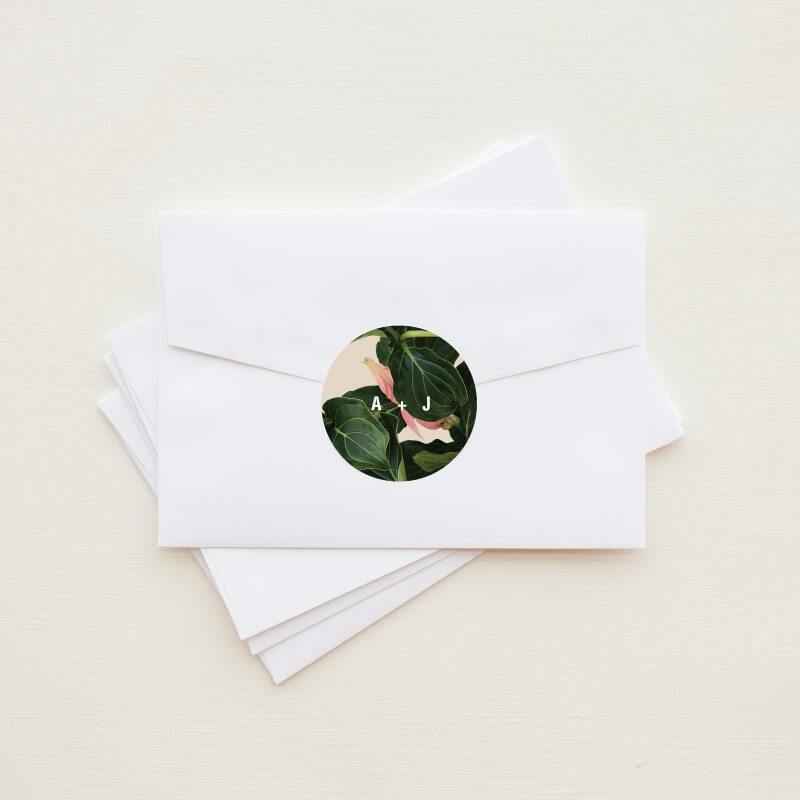 Medinilla - Stickers