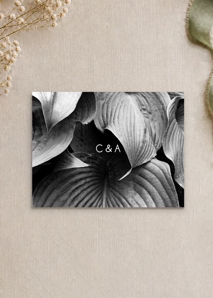 Modern Mode - RSVP Cards