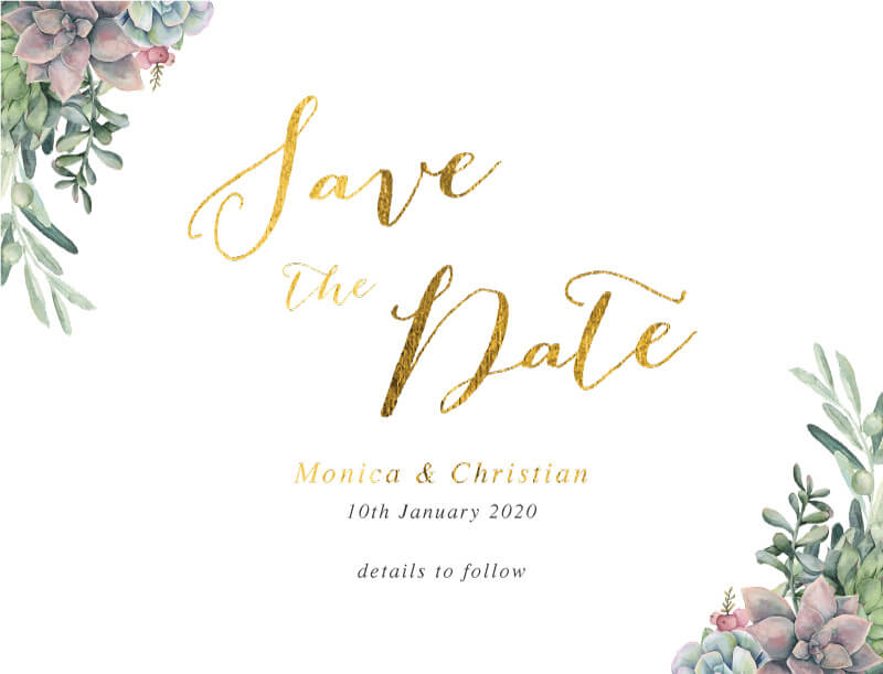 Echeveria - Save The Date